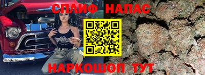 jwh Камышлов