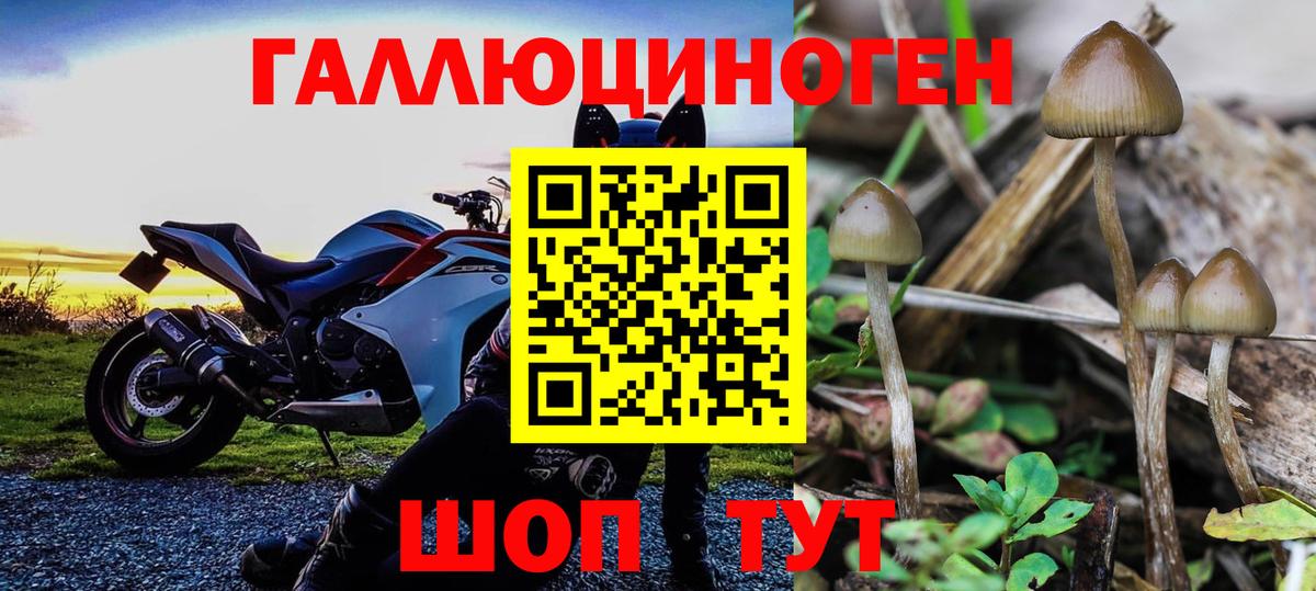 Галлюциногенные грибы ЛСД Лесозаводск